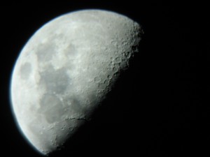 Gibbous moon